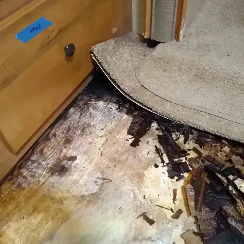 Wood Floor Water Damage in Camp Springs, MD